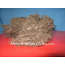 camel hair wool